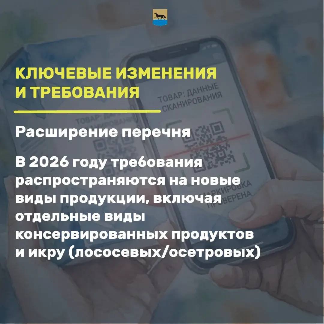 Система цифровой маркировки «Честный знак»: борьба с контрафактом и обеспечение прозрачности товарооборота Система цифровой маркировки «Честный знак»: борьба с контрафактом и обеспечение прозрачности товарооборота
