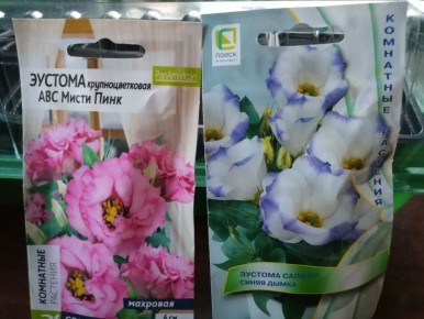 ������� ��������� ����������� ������� � �������� ��������