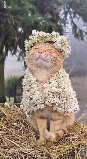 ��� ������� �������� �����, �� ����� ���, ����������� � �����, ��� ������� ����� � �������