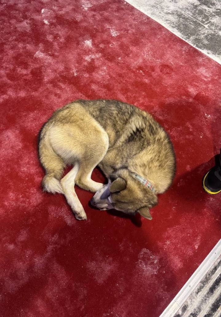 История со счастливым концом История со счастливым концом