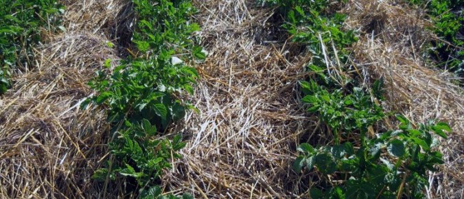 ����� ��������� ������������� ����������: ��� �������� ������ � ��������� �����