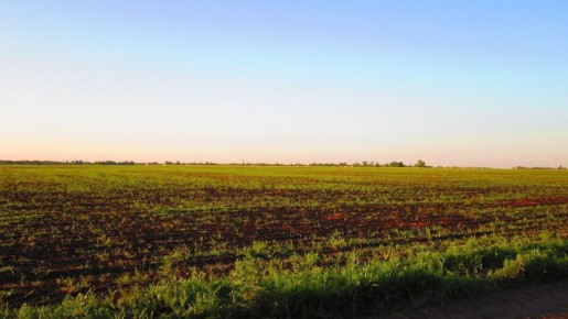 ��� ������� ��������� ����� ��� ������� ����