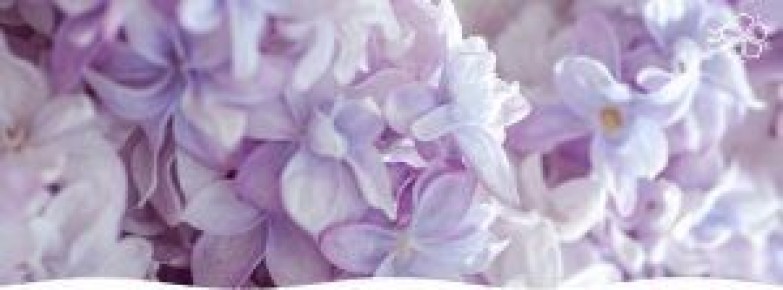 ��������������� ������: ������� �������� ������� � �����