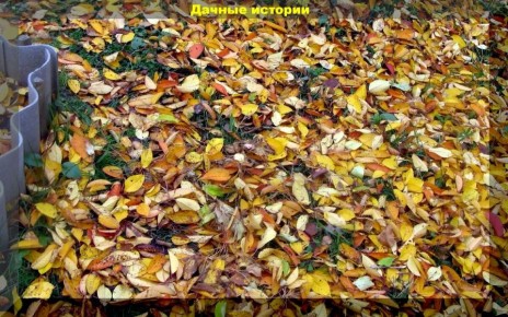 ������ gardeners ������������ ��������� ������� ������ �� ����� ��������