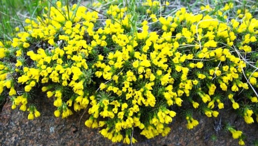 �����, ������� ����� ������� � ������������ ���� �����