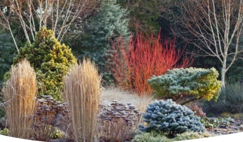 ��� ������� ������ ��� � ��������� �����������