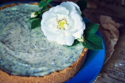 ������ �������� ����� � ����� ��������� � �����: ������� ������