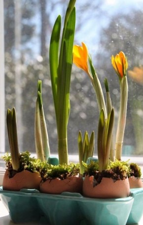 �������� ���� �� ���������� ����������: ������ ��� ������� ���������