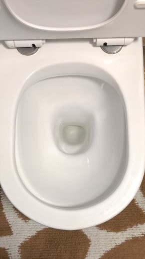 Лимонная кислота: секрет чистоты вашего унитаза