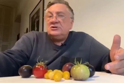 ������� ���������� ����� �������, ������� �������� ������ �����������