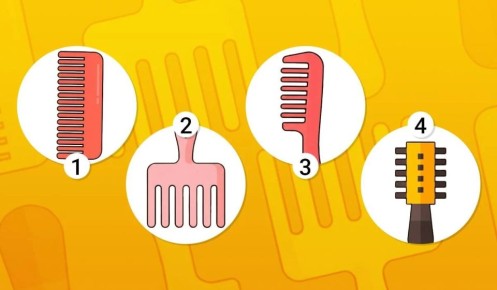 ���� �� ��������: ����� �������� ��������� � ����� ��������?