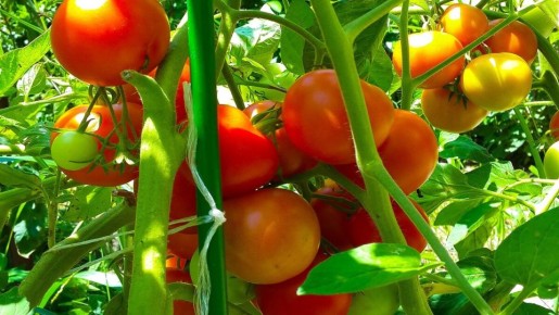 ����� �������: ��� ��������� ������ � ��������� �������