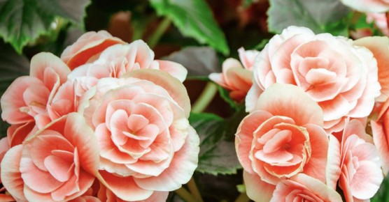 ��� ������� ��������� ��������� ������� ���� �����