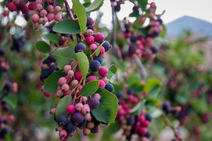 ����: ������������� ��������� � ��������� ������� ��� ������ ����