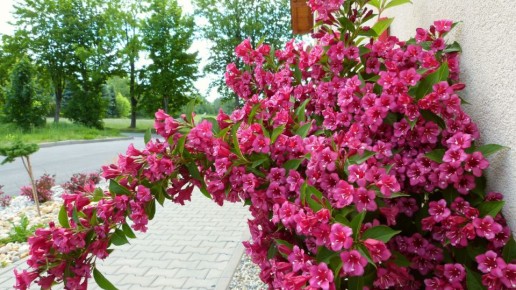 ��� �������� ������� �����: ������� �������� ����������