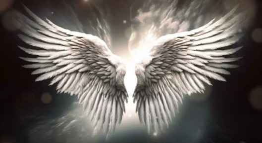 ������ ����������� �� �����: �������� � ���������� ������������