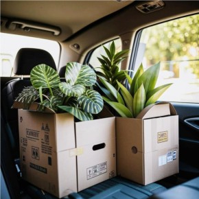 ��� ��������� ��������� �������� ��� ��������: ��� �������� ����