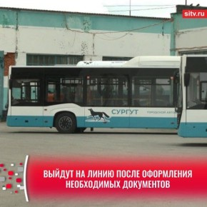 ����� �������� ��������� ���������� ��������