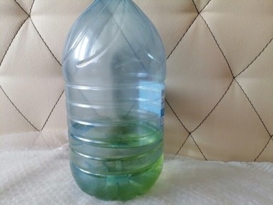 Как очистить бутылку от зелени: 5 простых методов и советы по профилактике