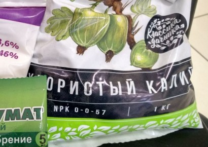 ��� ���� � ���������� ������ �� �������� ��������