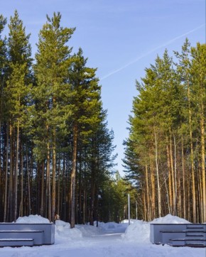 ���� � ������� +8��. ����� ���-�������� 4 �/�