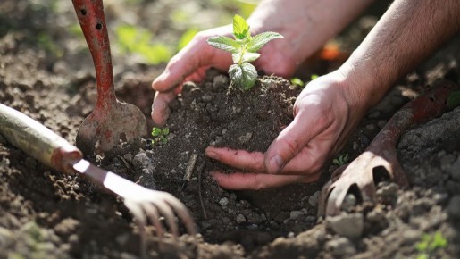 ��� �������� ��������� ����� ������� �� 85%: ������� �� �������� ����������