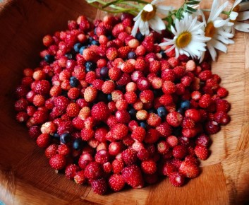 �������� ���� �� �������: ������� � ������ ��� ������ �������