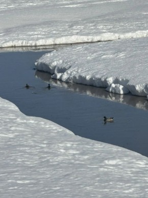 ���� � ������� +7��. ����� ���-�������� 3 �/�