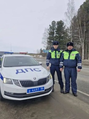 ����������������� ������� �������� ����� �� ������