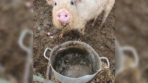 ���� ������ ������ � ���� ������� ����� ����� �� ������� ���������� ��������