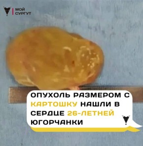 ������� �������� � �������� ����� � ������ 26-������ ���������