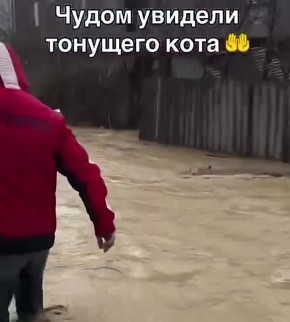 ��������� ������� ��������, ������� � ���������