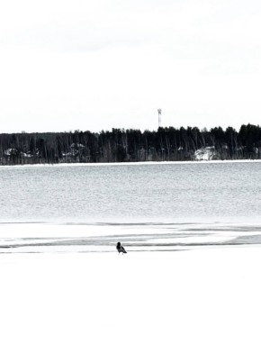 ���� � ������� +1��. ����� ����� 4 �/�