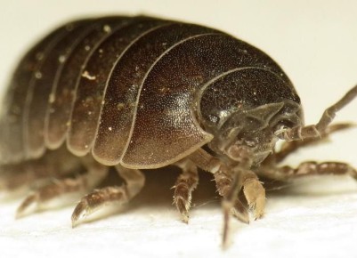 ��� ������ ���������� �� ������ � ����� ���� � ����