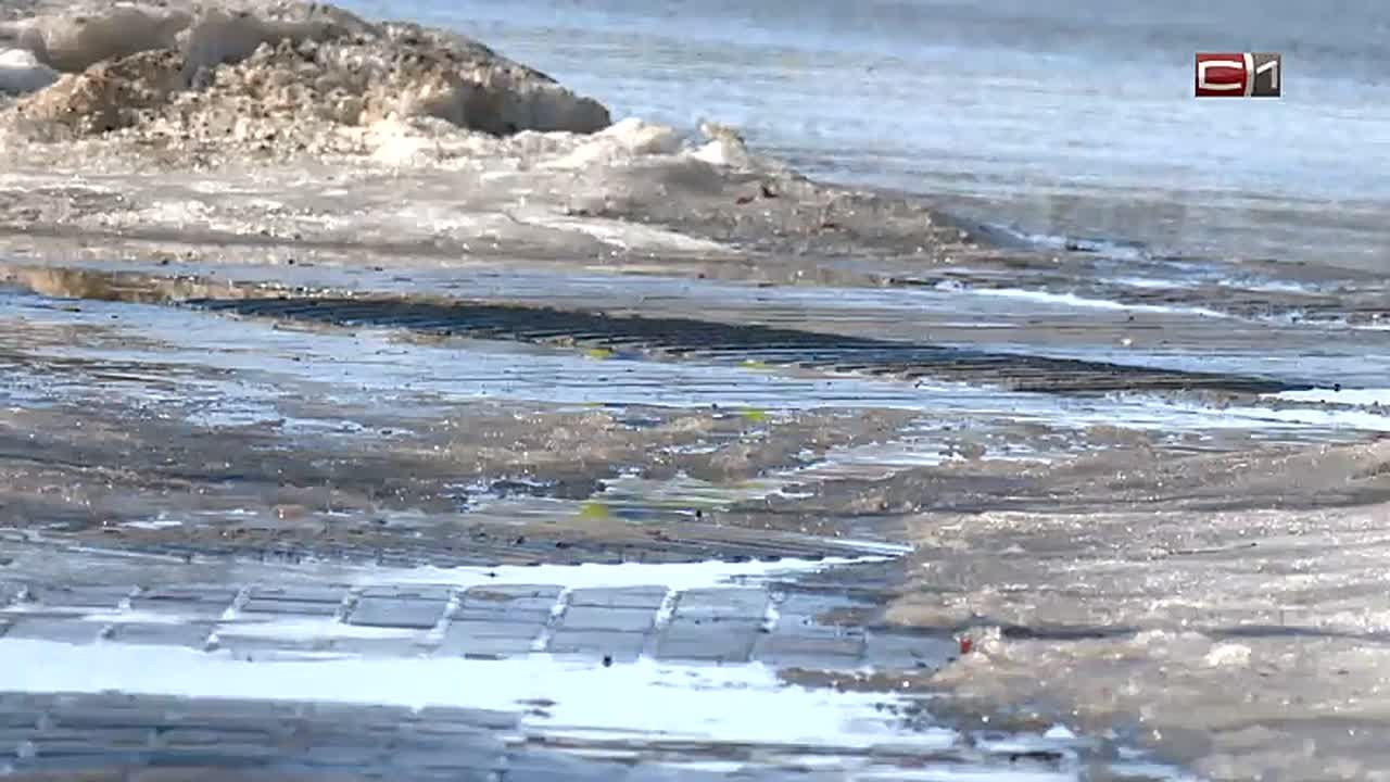 2 миллионов кубометров снега: от последствий весеннего паводка в Сургуте планируют избавиться к концу апреля