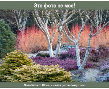 ��� ����� ����� ����������� ��� ������ ���