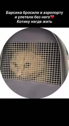 11-������� ���� ������� ������� � ���������� ���������