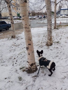 ������� ����� �� �������� ������� ����� ��������� � ����