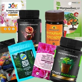 ������� ��������� ������: ����������� ��������� �� ������ ��������