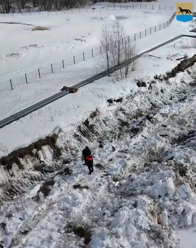 � ������� ������� ������ �� �������������� ����������� �� ������ ������