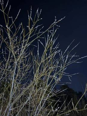 ���� � ������� +5��. ����� �������� 4 �/�