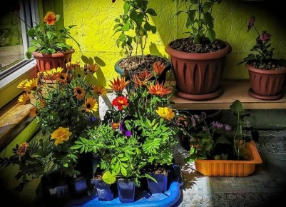 ��� �������� ������ � �������� �������� � �������� ��������: ����������� ���������