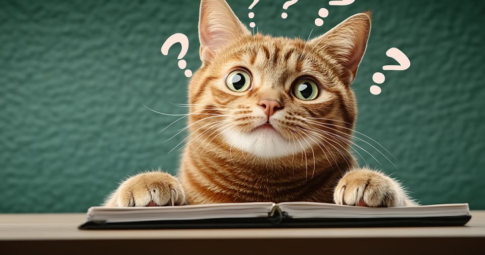 ������ �� ������� ������� �� ���: ���, ������� � ����� �� ������