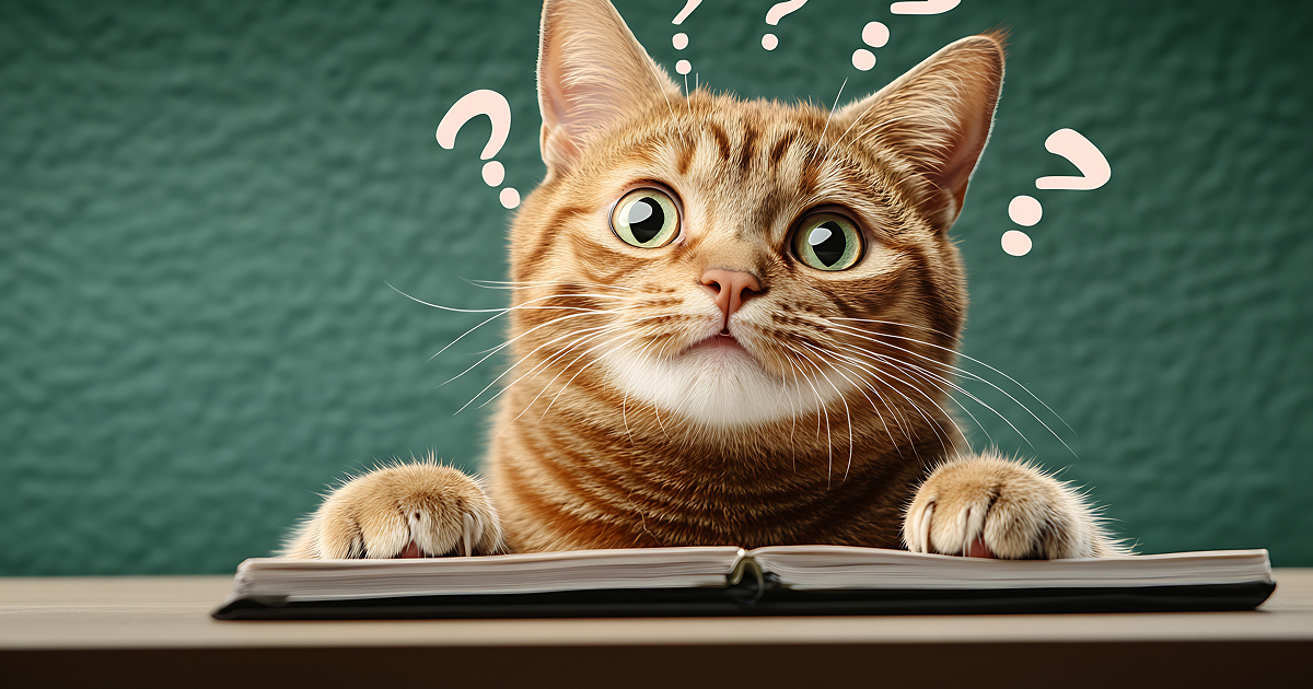 Ответы на горячие вопросы по ЖКХ: АВР, расчеты и плата за услуги