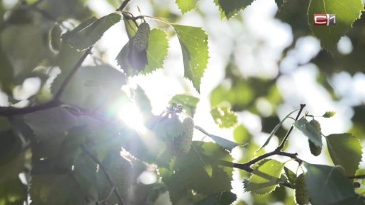 ����� ���� � ���� � �� ��������� ����������� ��������� ���������� �� +21