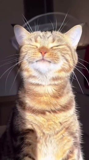 � ��������� ������� ���� ��������� �� 20 ��������