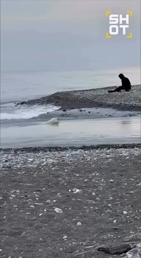 ���������� ���-����������, ��������� � �������� ����, ���� ����� ���