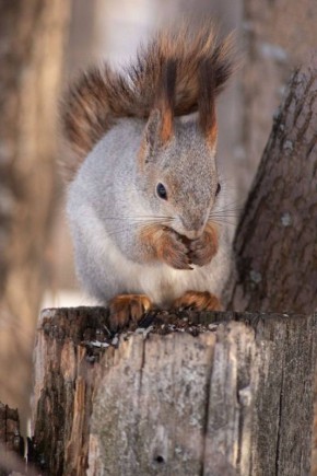 Заряжаемся позитивом с самого утра