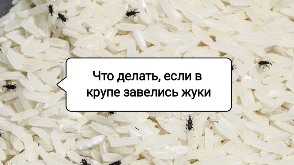 ��� ���������� �� ������ � �����: ������� ������ � �������� ��� �������