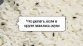 Как избавиться от жучков в крупе: простые советы и хитрости для хозяйки